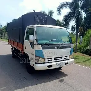 Isuzu NPR 1992 Lorry (Used)