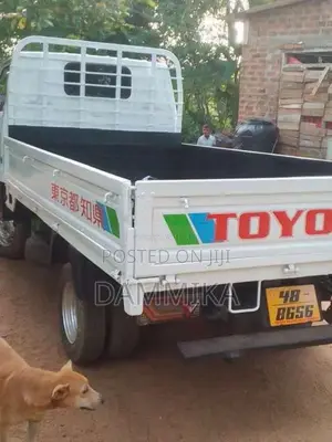 Toyota Dyna 1993 Lorry (Used)