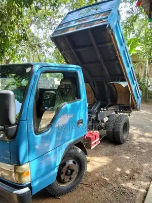 Isuzu Elf 250 1992 Lorry (Used)