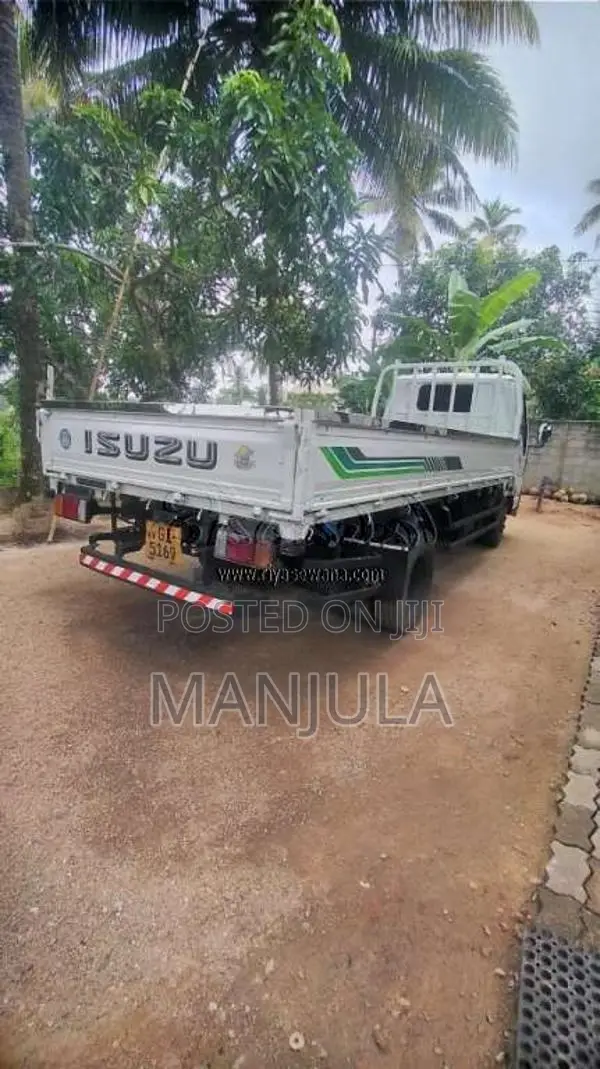Isuzu ELF 1995 Lorry (Used)