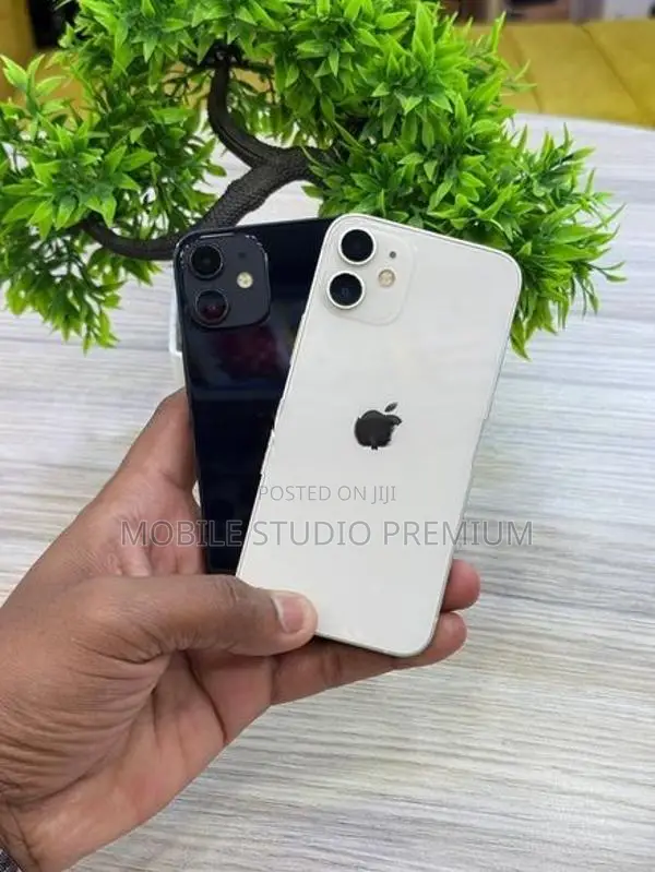 Apple iPhone 12 mini (Used)