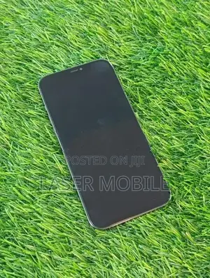 Apple iPhone 12 Pro Max 256GB (Used)