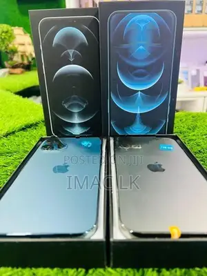 Apple iPhone 12 Pro Max 256GB (Used)