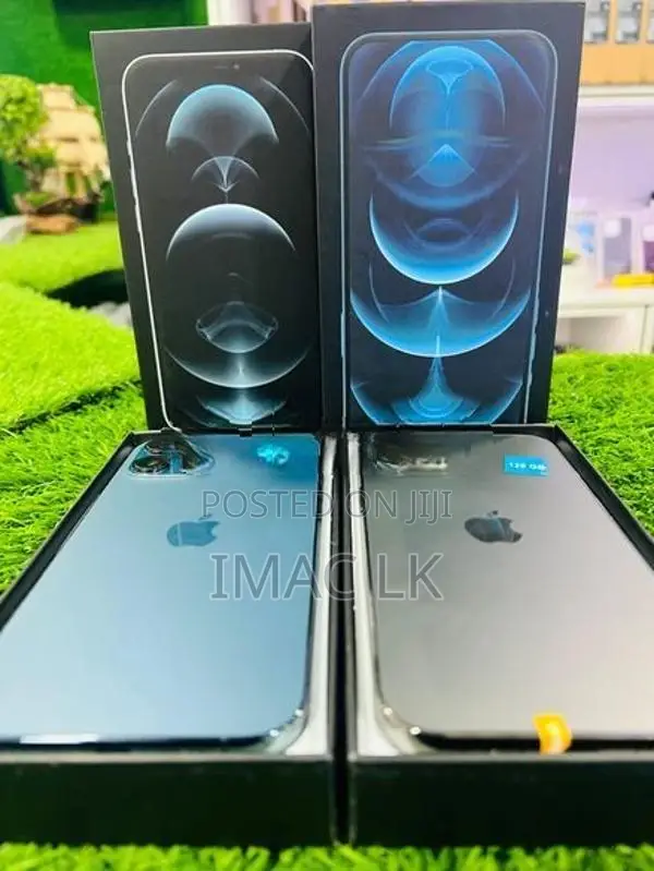 Apple iPhone 12 Pro Max 256GB (Used)