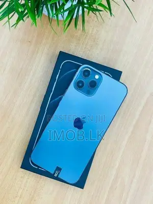 Apple iPhone 12 Pro Max 256GB (Used)