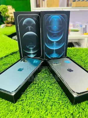 Apple iPhone 12 Pro Max 256GB (Used)