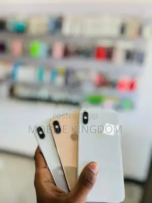 Apple iPhone XS Max 256GB Gold Fullset (Used)