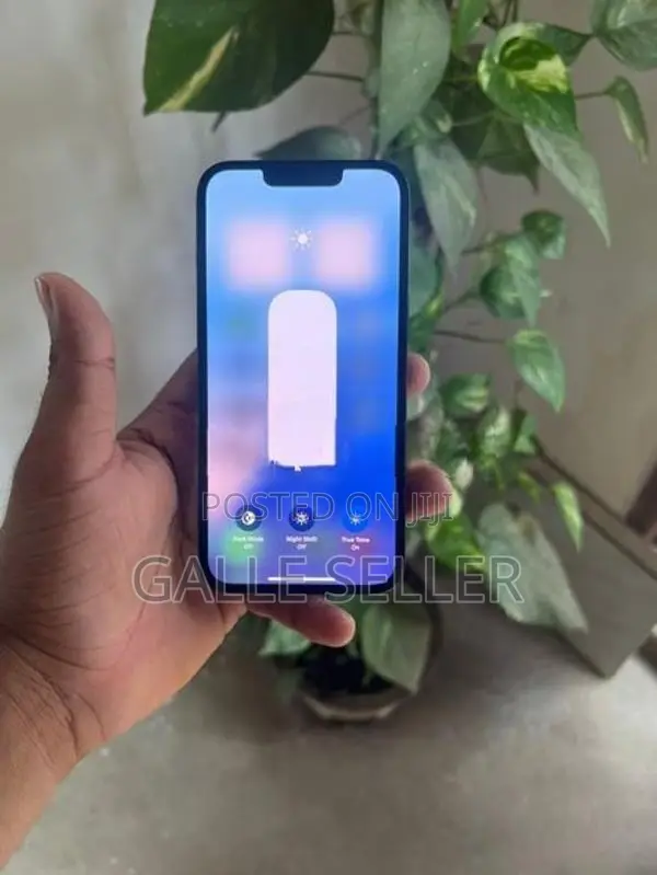 Apple iPhone 13 (Used)
