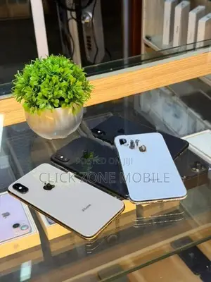 Apple iPhone XS 256GB (Used)
