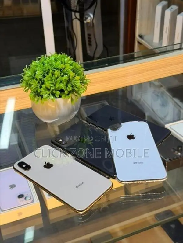 Apple iPhone XS 256GB (Used)