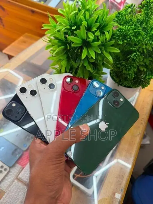 Apple iPhone 13 256GB (Used)