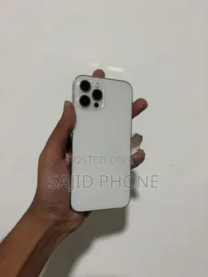 Apple iPhone 12 Pro Max (Used)