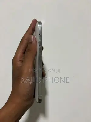 Apple iPhone 12 Pro Max (Used)