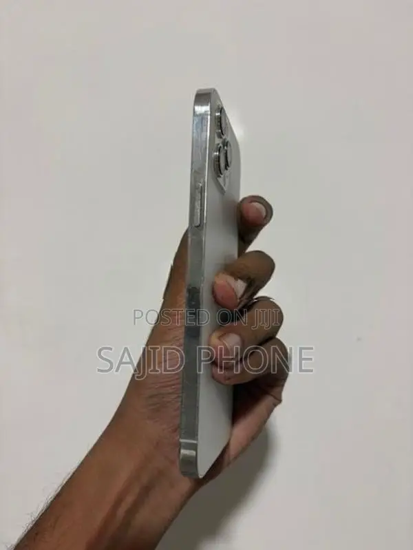 Apple iPhone 12 Pro Max (Used)