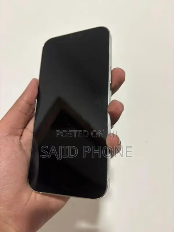 Apple iPhone 12 Pro Max (Used)