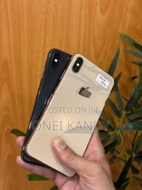 Apple iPhone XS Max 64GB (Used)
