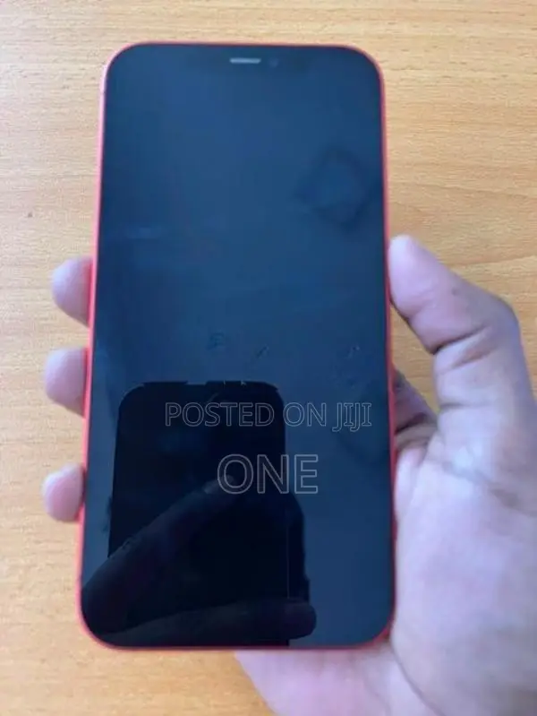 Apple iPhone 12 (Used)