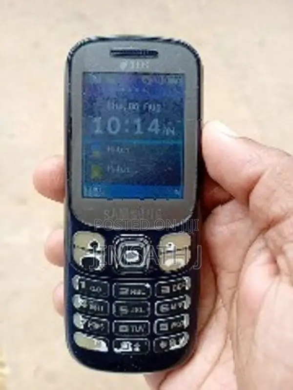 Samsung B313E (Used)