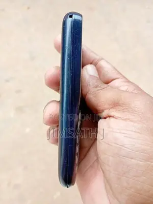 Samsung B313E (Used)