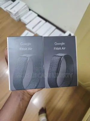 Google Fit Bit Air