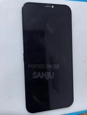 iPhone 12 Pro Max Genuine Display