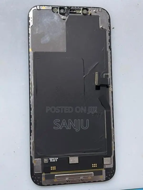 iPhone 12 Pro Max Genuine Display