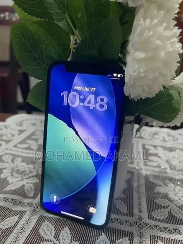 Apple iPhone 12 mini (Used)