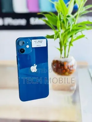 Apple iPhone 12 mini 128GB (Used)