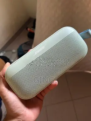 Bose Sound flex 2