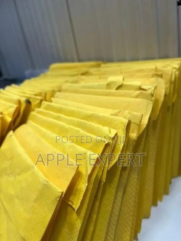 iPhone SE 3 full battery