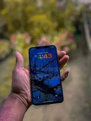 Apple iPhone XS Max 256GB (Used)