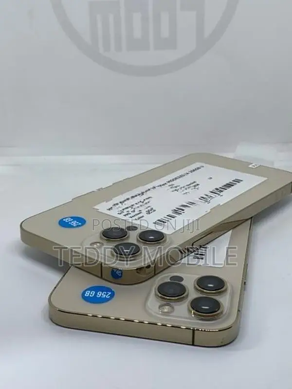 Apple iPhone 12 Pro Max 256GB (Used)