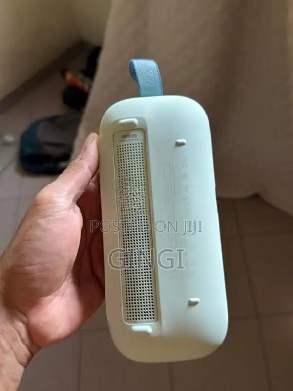 Bose Sound flex 2