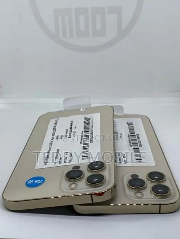 Apple iPhone 12 Pro Max 256GB (Used)