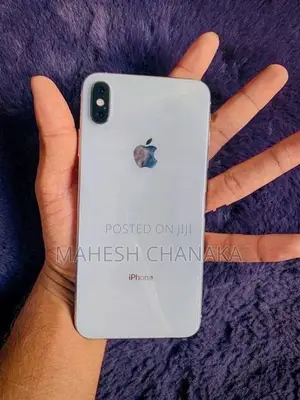 Apple iPhone XS Max 256GB (Used)