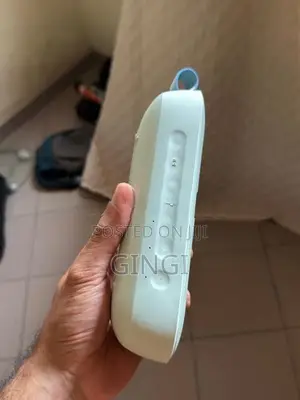 Bose Sound flex 2