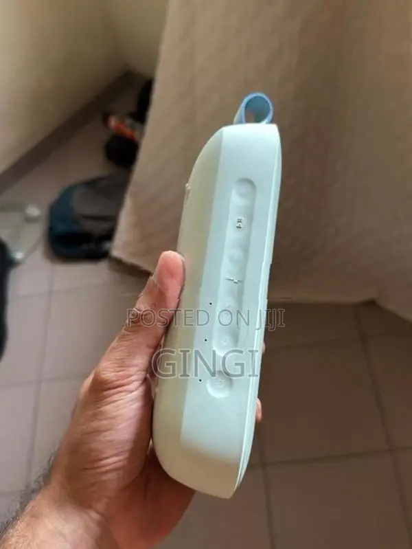 Bose Sound flex 2
