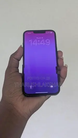 Apple iPhone 13 (Used)