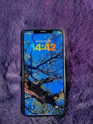 Apple iPhone XS Max 256GB (Used)