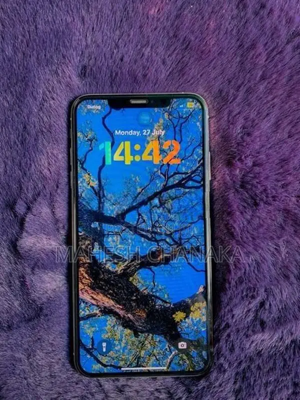 Apple iPhone XS Max 256GB (Used)