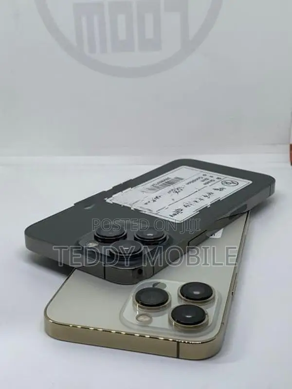 Apple iPhone 13 Pro 256GB (Used)