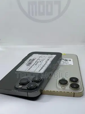 Apple iPhone 13 Pro 256GB (Used)