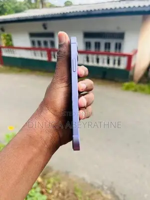 Apple iPhone 12 (Used)