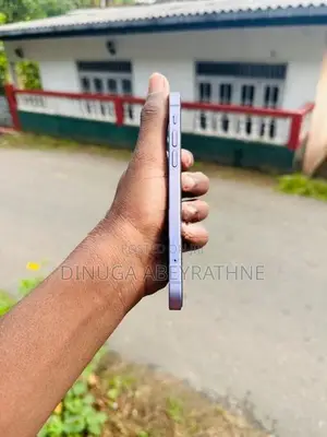 Apple iPhone 12 (Used)