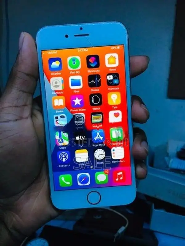 Apple iPhone 6S (Used)