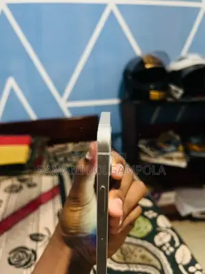 Apple iPhone 12 mini (Used)