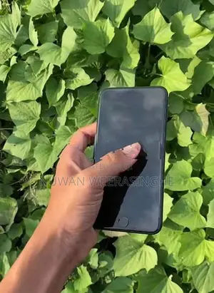 Apple iPhone 7 Plus 256GB (Used)