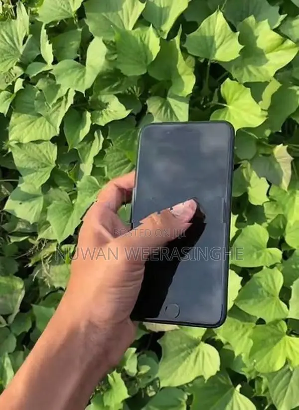 Apple iPhone 7 Plus 256GB (Used)