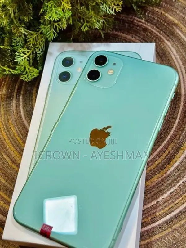 Apple iPhone 11 64GB (Used)