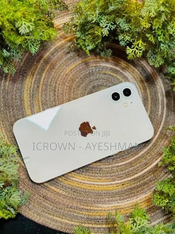 Apple iPhone 12 256GB (Used)